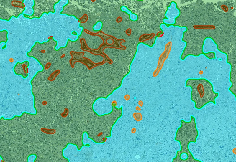 Dynamic Content Image